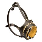 Nappa Padded Leather Dog Muzzle with Brass Studs for Daily Activity