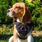 Brand New Multifunctional Nylon Beagle Harness