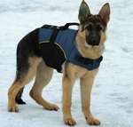 30% Discount - NEW 2017 All Season Extra Strong Nylon Vest Harness - H13-Outdoor(German Shepherd)