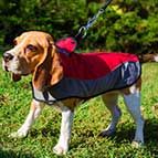 Warm Nylon Winter Beagle Coat for Walking